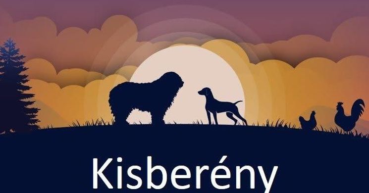 Kisberényi Menedék Vendégházak