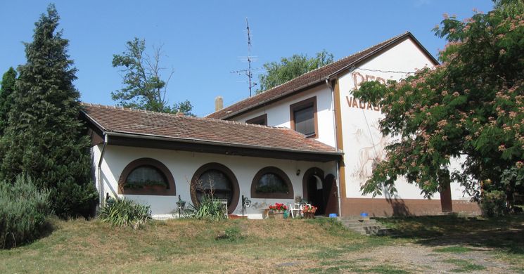 Kutyásfogadó Bárándpuszta