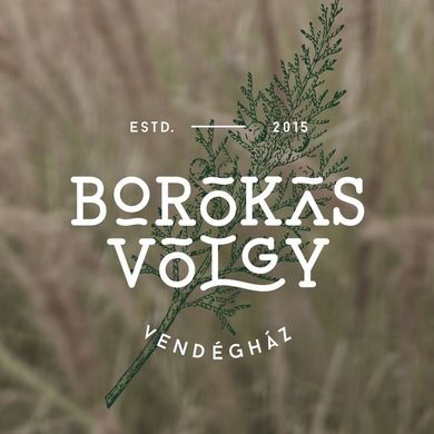 Borókásvölgy Vendégház Mályinka