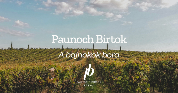 Paunoch Birtok Erdőbénye