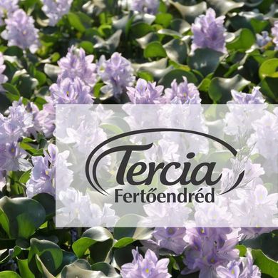 Tercia Étterem és Panzió Fertőendréd