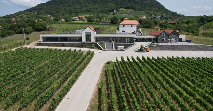 Kancellár Birtok Somlójenő