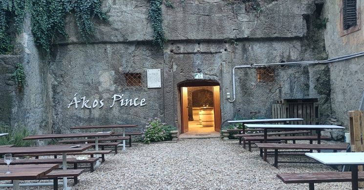 Ákos Pince Gyöngyös