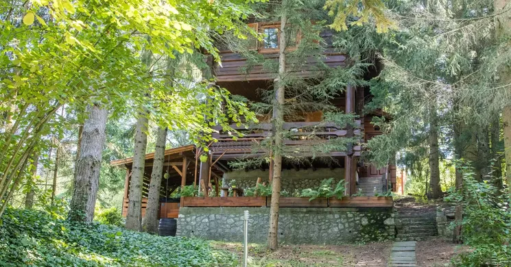 `A Fák Ölelése` Rönk Vendégház Bükkaranyos