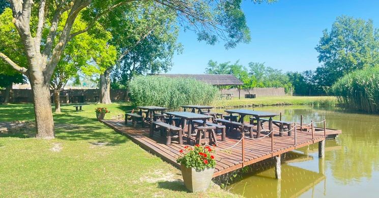 Metro Horgásztó Kecskemét