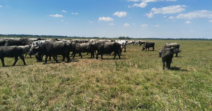 Szamárháti Látogatóközpont Kesznyéten