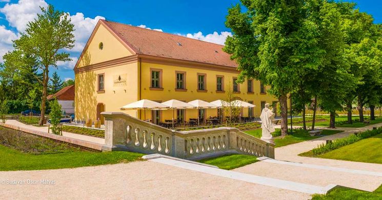 Harap a Kacsa  Hatvan