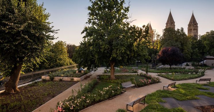 Rózsakert és Shop Pécs