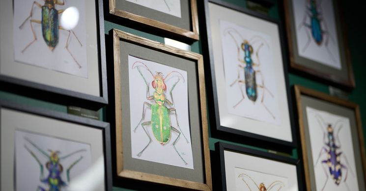 ArtEnto Ökocentrum Budapest