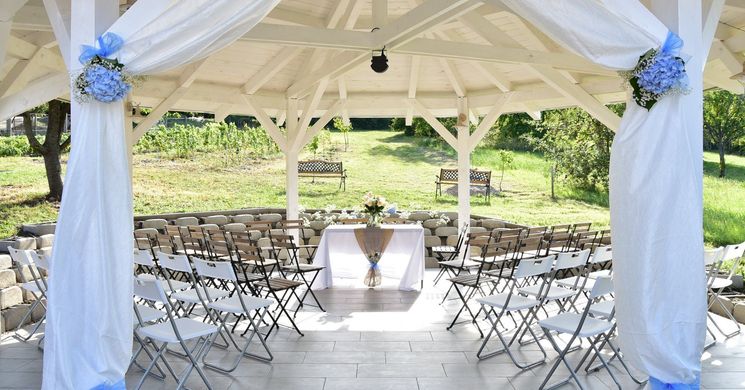 Aubergine Pince Etyek