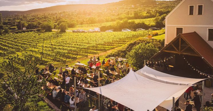 Palo Borbirtok Paloznak