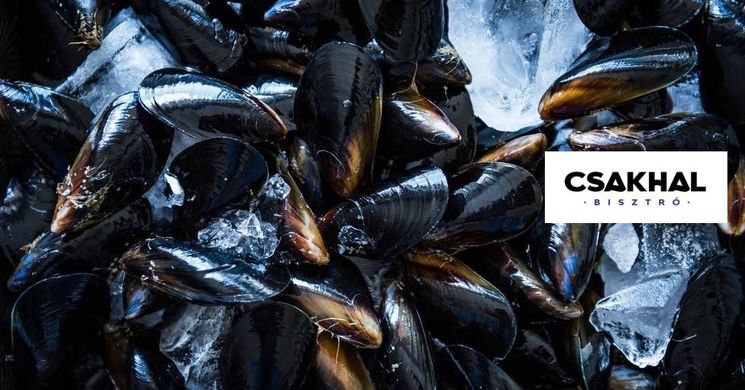 Csakhal Bisztró Debrecen