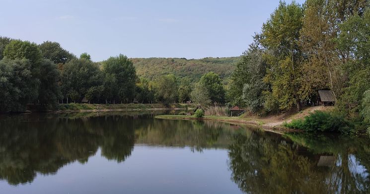 Aranykavics Horgásztanya és Apartmanház Hernádszurdok