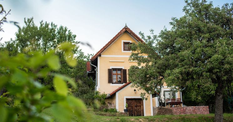 Panorámás Vincellérház Balatonszepezd