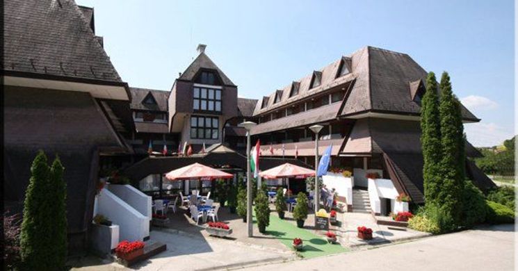 Viking Hotel***Agárd