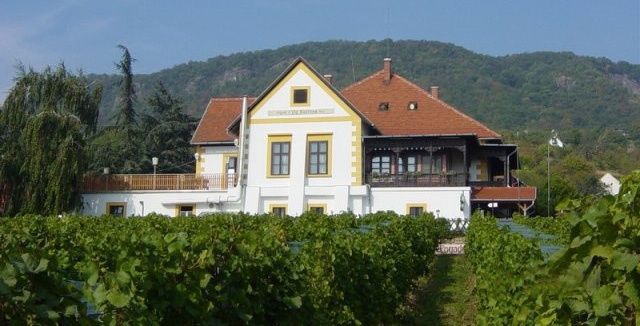 Víg Bacchus Fogadó