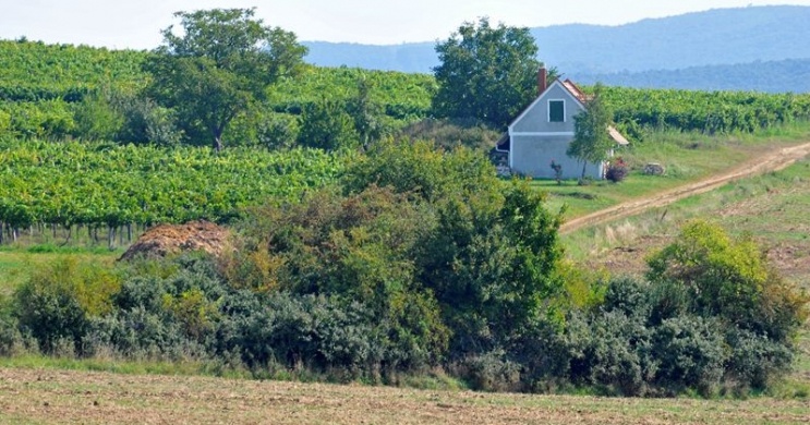 Mészáros Pince Pécsely