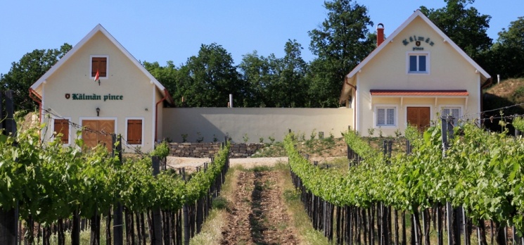 Arias Szőlőbirtok Pécsely