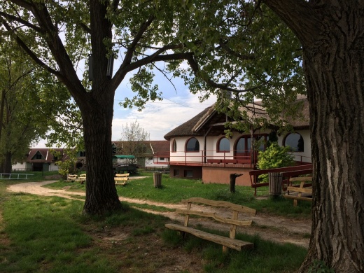 Patkó Csárda Lovarda