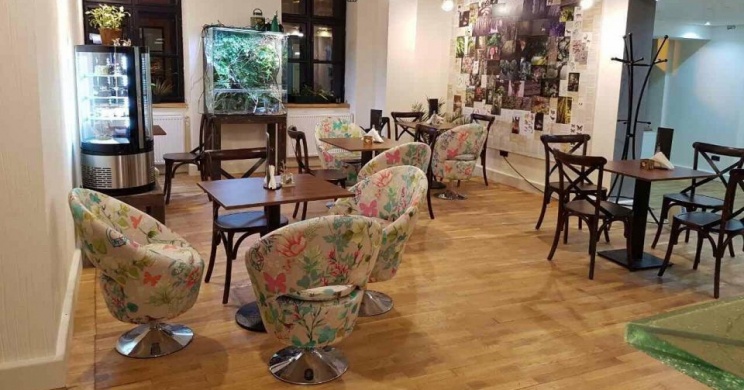 Vasmacska KávéZoo Budapest