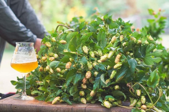 Helka Sörfőzde Balatonföldvár