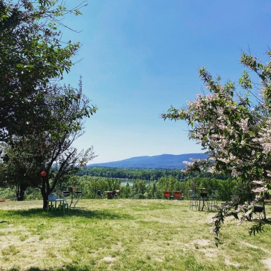 Kertünk Bár és Kilátó Vác