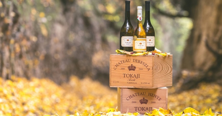 Chateau Dereszla Bodrogkeresztúr