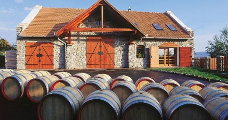 Bodnár Pincészet Borház