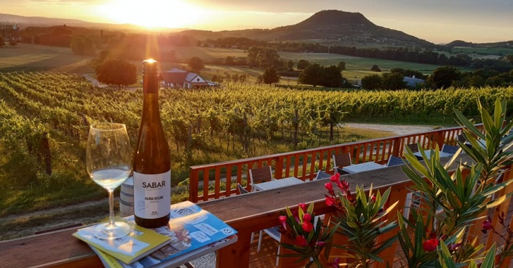 Sabar Dűlő Borház Káptalantóti