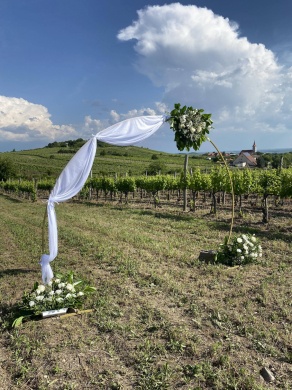 Aranynap vendégház Tállya