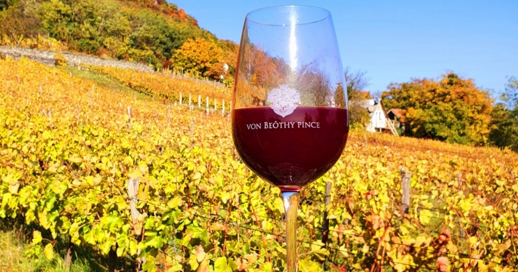 Von Beöthy Pince