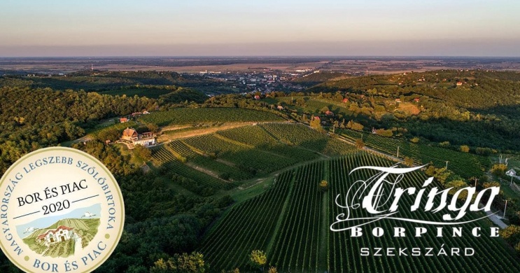 Tringa Borpince Szekszárd