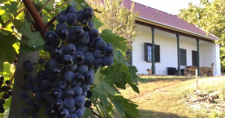 Garai Pince Alsónyék