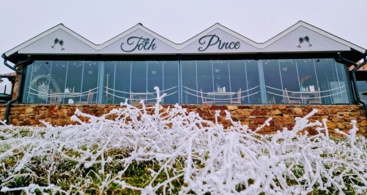 Tóth Pince -Borterasz  Révfülöp