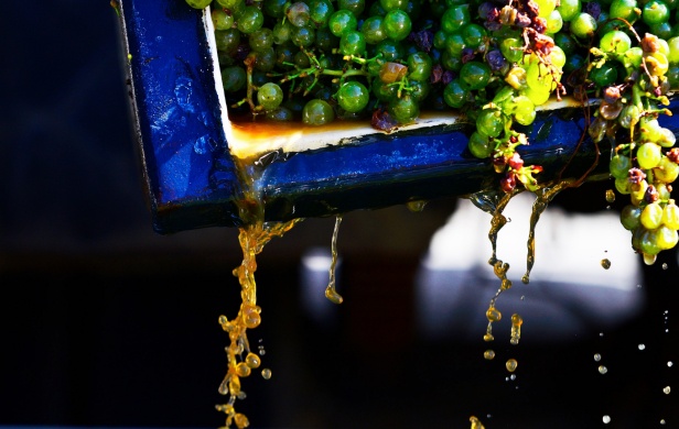 Bárdos és Fia Pincészet Nagyréde