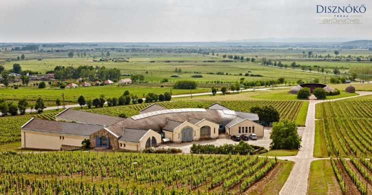Disznókő Szőlőbirtok és Pincészet