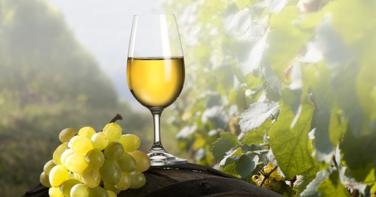 Károly Gazda Somlói Kispincéi