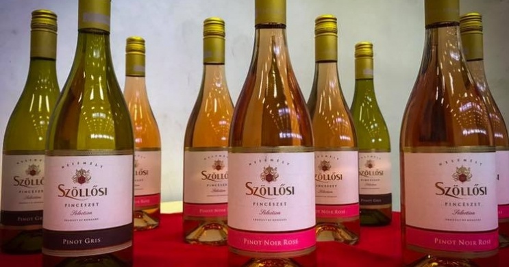 Szöllősi Pincészet