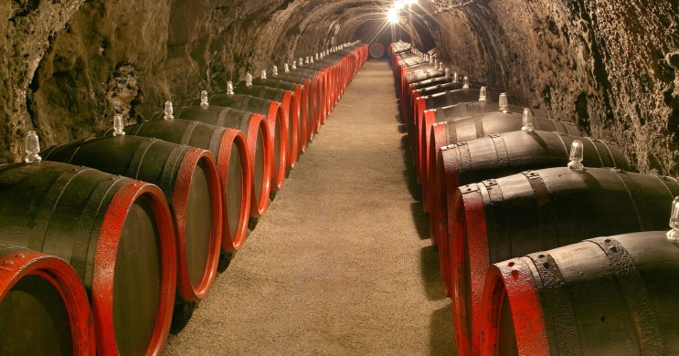 Pauleczki-Vin Szőlőbirtok és Pincészet