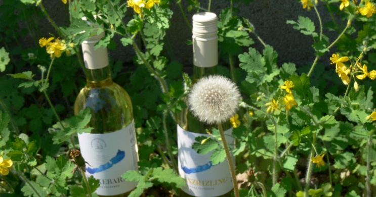 Zánka és Környéke Pinceszövetkezet