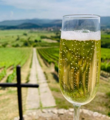 ProVinum Borászat és Vendégház Erdőbénye