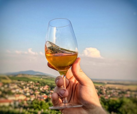 Orosz Gábor Pincészet és Vendégház Mád