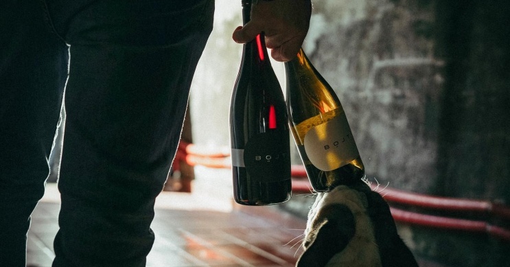 Böjt Borászat és Szőlőbirtok