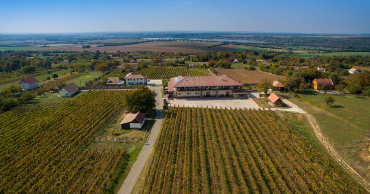 Ebner Pincészet és Panzió Mozsgó