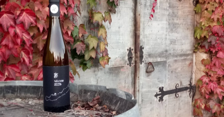 Négy80 Badacsonyörs