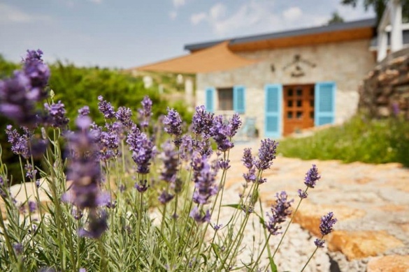 Szarka Vendégház és Pince Mád