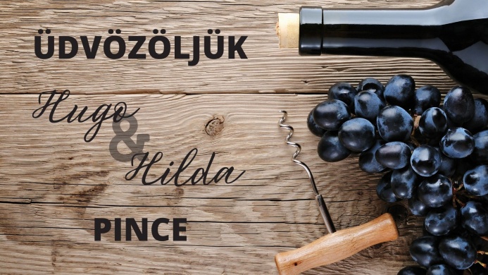 Hugo & Hilda Pince Bajna