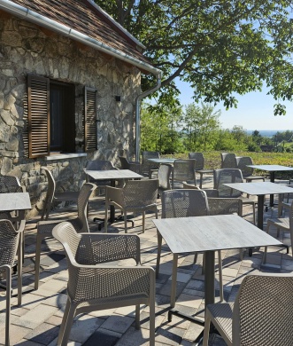 Dénes Hegybirtok Borbár és Terasz