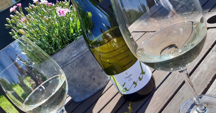 Jásdi Vinotéka és Borbár