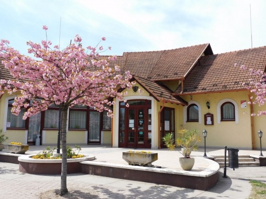 Borostyán Étterem Forráskút